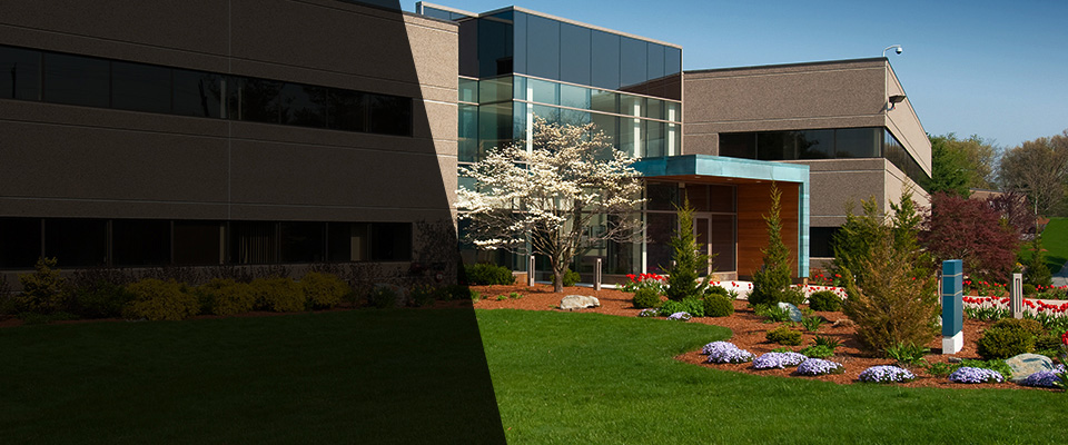 Barre Landscapers