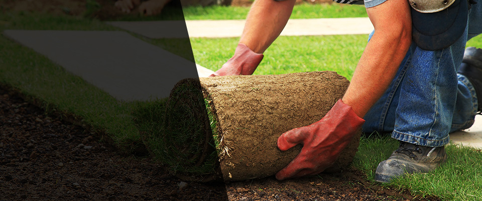 Barre Landscapers